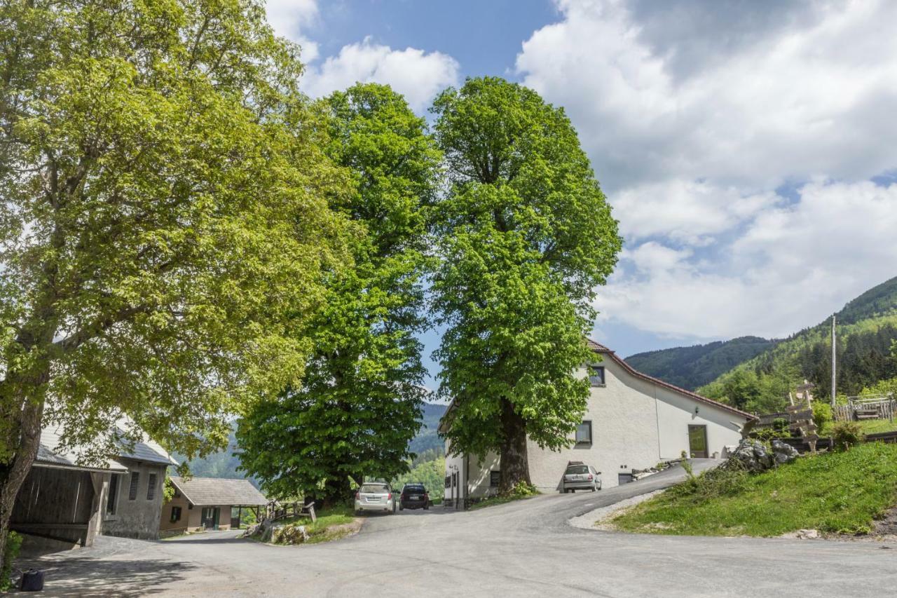 Turisticna Kmetija Toman Villa Gornji Grad Dış mekan fotoğraf